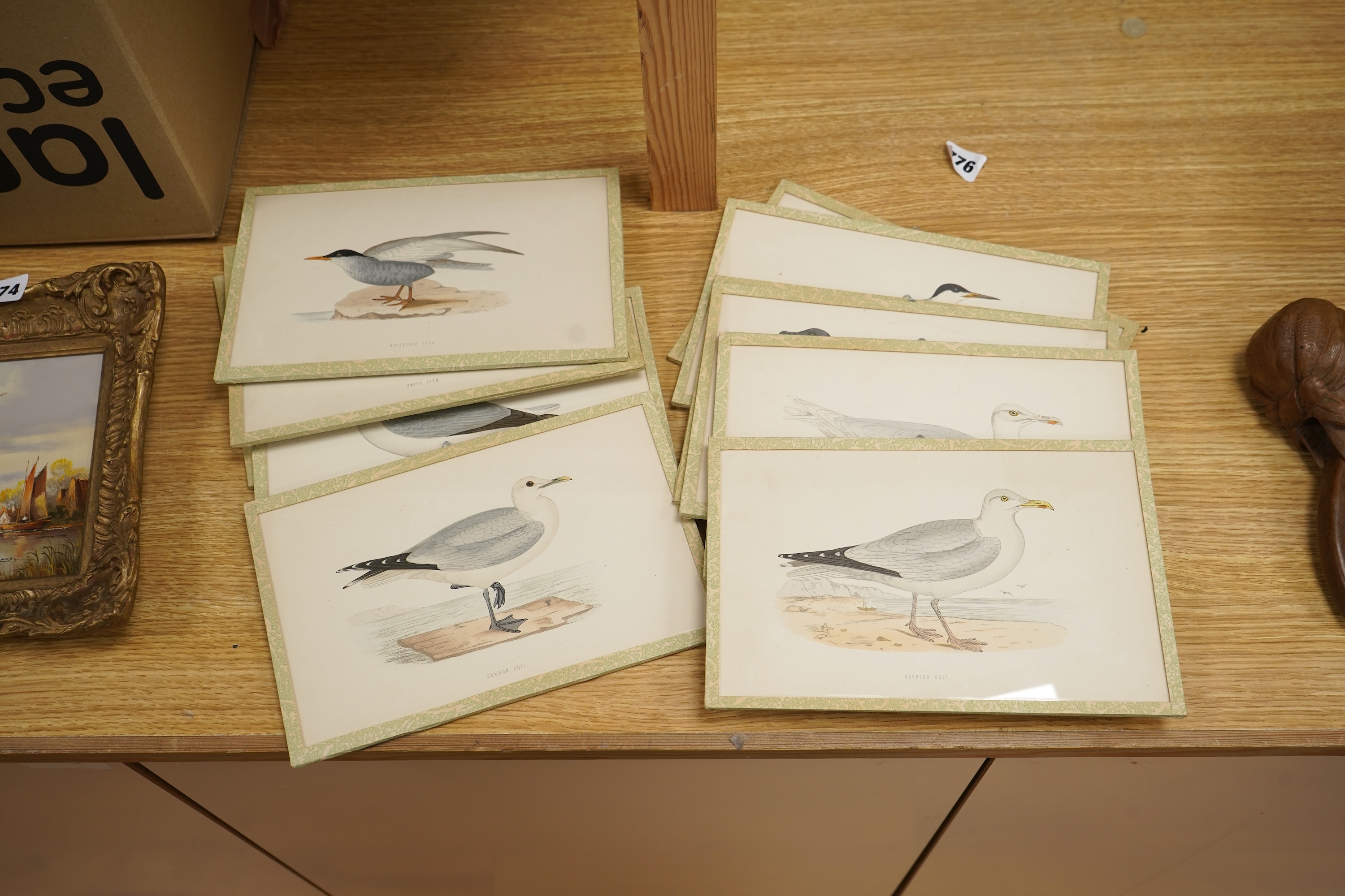 A group of eleven colour lithographs, seabirds to include ‘Common Gull’, ‘Buffons Skua’ and ‘Fulmar’, 16 x 25cm